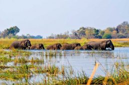 Caprivi 2