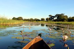 Caprivi 3