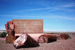 Petrified Forest National Park in Arizona, Route 66 USA